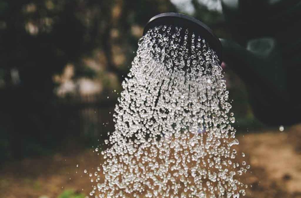 Gestion de l’eau et arrosage